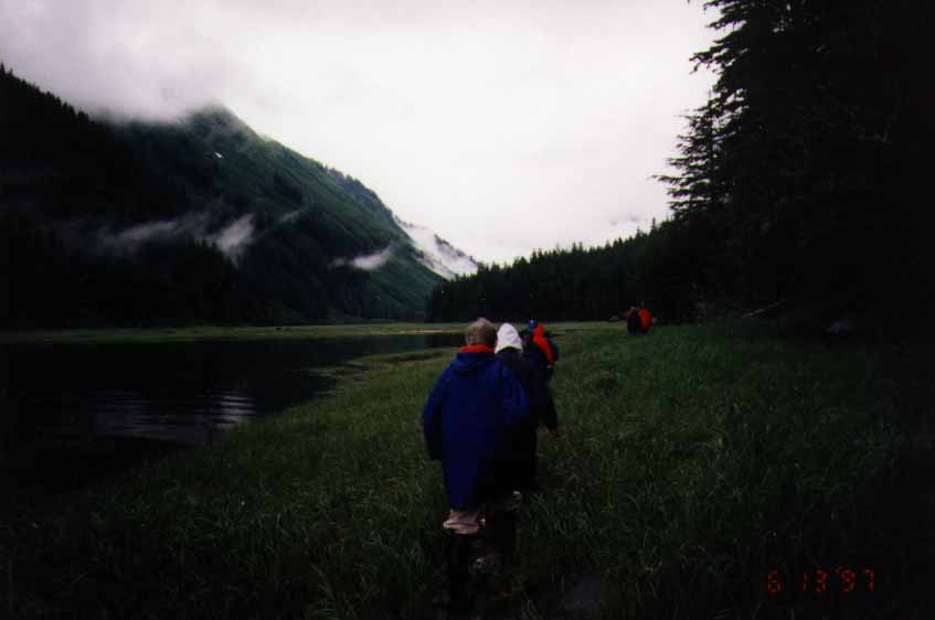 Hiking in woods