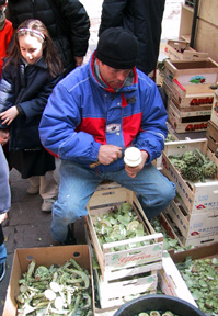 Cutting artichokes