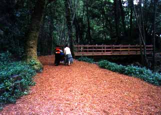 Crossing the footbridge